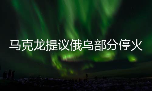 馬克龍?zhí)嶙h俄烏部分停火一個月，探尋背后原因與期待的影響