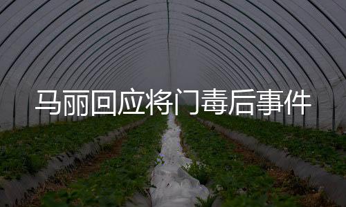 馬麗回應(yīng)將門毒后事件