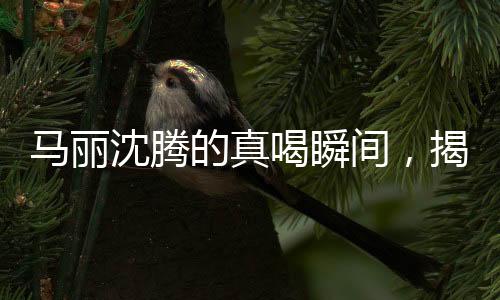 馬麗沈騰的真喝瞬間，揭開背后的故事與真實面貌