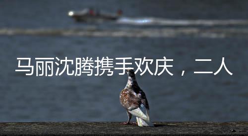 馬麗沈騰攜手歡慶，二人展現(xiàn)真實豪邁的酒桌風采