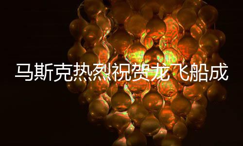 馬斯克熱烈祝賀龍飛船成功返回，開辟太空探索新紀元的一刻