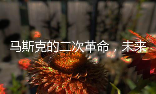 馬斯克的二次革命，未來(lái)之路能否成功？