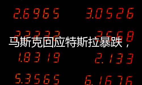 馬斯克回應(yīng)特斯拉暴跌，市場(chǎng)波動(dòng)背后的深層原因及未來(lái)展望