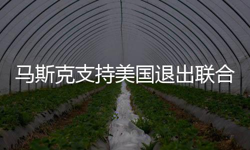馬斯克支持美國退出聯(lián)合國和北約，全球格局的新思考？