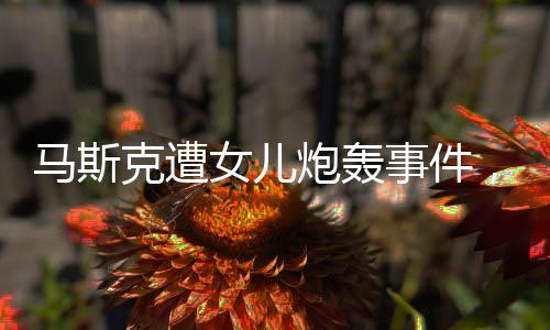 馬斯克遭女兒炮轟事件，數(shù)字一二三四背后的深度解析