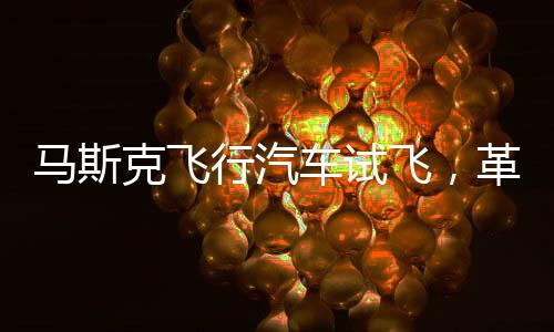 馬斯克飛行汽車試飛，革新交通的未來展望