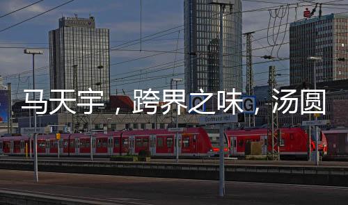 馬天宇，跨界之味，湯圓新傳奇