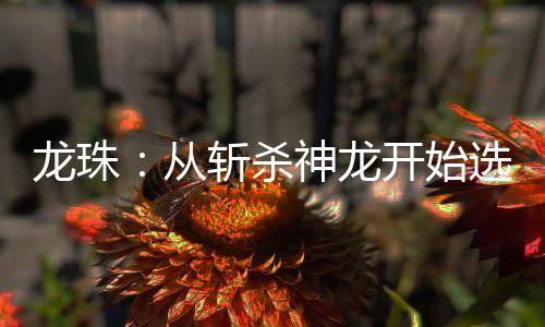 龍珠：從斬殺神龍開始選擇