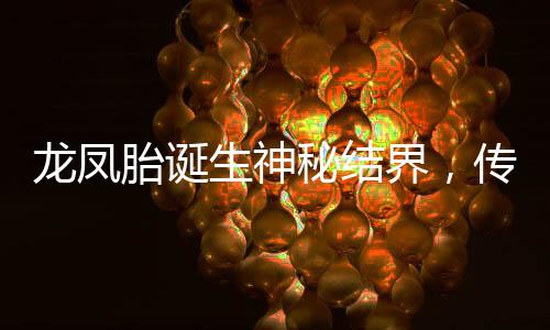 龍鳳胎誕生神秘結(jié)界，傳說與現(xiàn)實(shí)交匯的奇跡