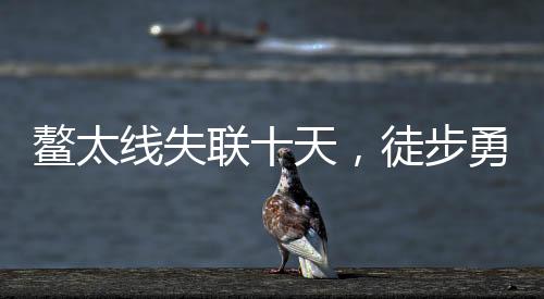 鰲太線失聯(lián)十天，徒步勇士奇跡生還