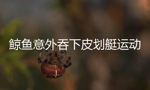 鯨魚意外吞下皮劃艇運動員又吐出，海洋奇跡還是驚魂一刻？