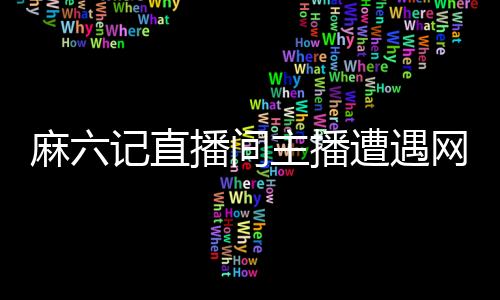 麻六記直播間主播遭遇網(wǎng)友勸換工作的熱議