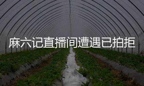 麻六記直播間遭遇已拍拒收風(fēng)波，探究背后的真相