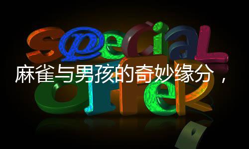 麻雀與男孩的奇妙緣分，一次不舍的相遇與放飛