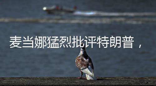 麥當(dāng)娜猛烈批評特朗普，一個引人矚目的輿論風(fēng)暴