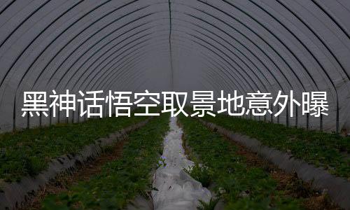 黑神話悟空取景地意外曝光，驚艷畫面竟現(xiàn)于鉛筆尖