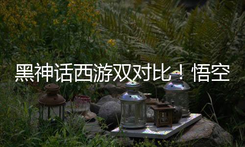 黑神話西游雙對比！悟空崩潰了