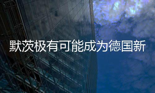 默茨極有可能成為德國新總理新聞報(bào)導(dǎo)