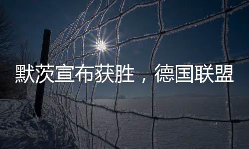 默茨宣布獲勝，德國聯(lián)盟黨贏得大選