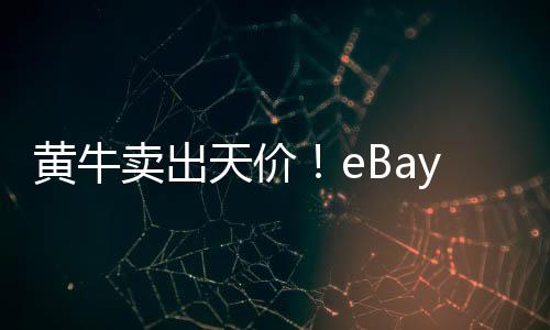 黃牛賣(mài)出天價(jià)！eBay上RTX 5090最高要9000美元