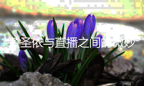 黃圣依與直播之間的微妙關(guān)系，解讀她的態(tài)度與看法