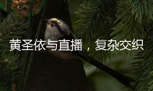 黃圣依與直播，復(fù)雜交織的輿論探討