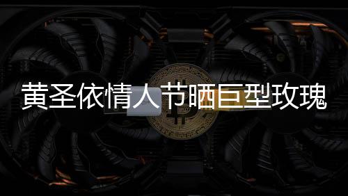 黃圣依情人節(jié)曬巨型玫瑰，浪漫驚喜引發(fā)網(wǎng)友熱議