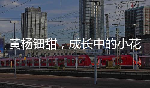 黃楊鈿甜，成長(zhǎng)中的小花未來(lái)可期
