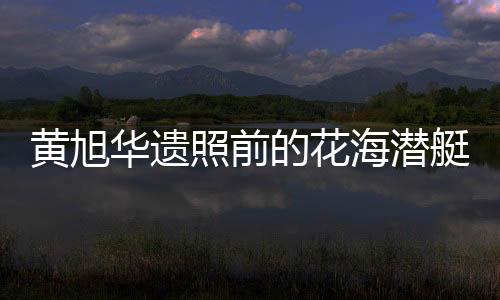 黃旭華遺照前的花海潛艇，緬懷傳奇人物的無私貢獻(xiàn)