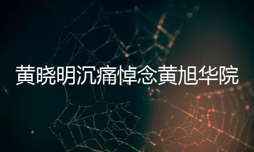 黃曉明沉痛悼念黃旭華院士，共同緬懷科學(xué)巨匠