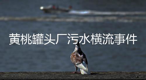 黃桃罐頭廠污水橫流事件揭秘