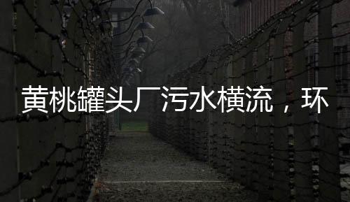 黃桃罐頭廠污水橫流，環(huán)保問題亟待解決