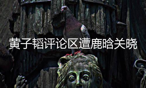 黃子韜評(píng)論區(qū)遭鹿晗關(guān)曉彤粉絲刷屏，引發(fā)熱議