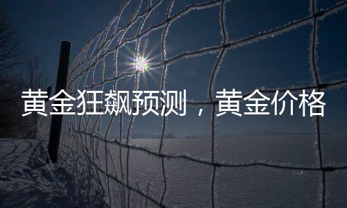黃金狂飆預(yù)測，黃金價格有望突破至5000美元，投資熱點分析與展望