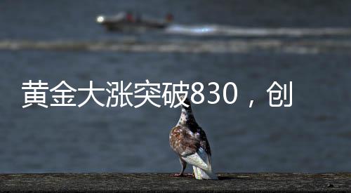 黃金大漲突破830，創(chuàng)出歷史新高度！市場(chǎng)掀起新熱潮！