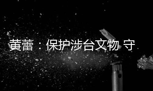 黃蕾：保護涉臺文物 守護共同記憶