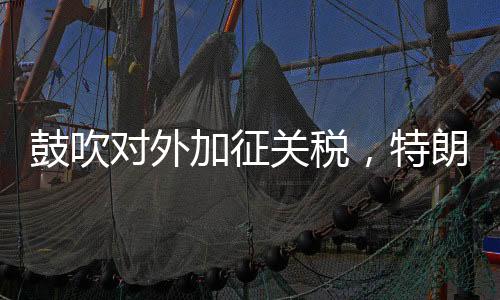 鼓吹對(duì)外加征關(guān)稅，特朗普：“為了讓美國(guó)再次富有”