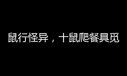 鼠行怪異，十鼠爬餐具覓食引熱議事件探微