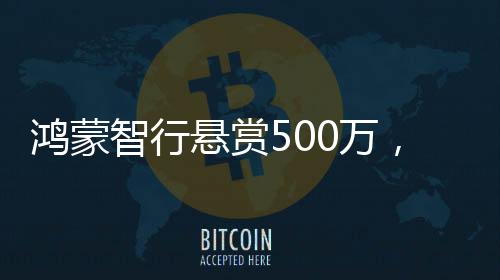 鴻蒙智行懸賞500萬，引領(lǐng)智能出行新紀(jì)元的一二三四五六七八九十