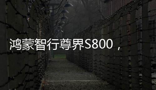 鴻蒙智行尊界S800，一款引領(lǐng)未來(lái)的智能座駕，預(yù)計(jì)上半年隆重上市
