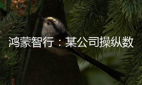 鴻蒙智行：某公司操縱數(shù)十家MCN機(jī)構(gòu)抹黑，多人被抓