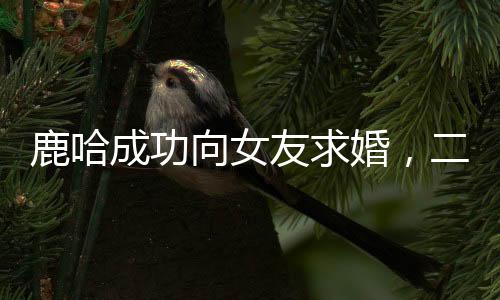 鹿哈成功向女友求婚，二人深情如海甜蜜四溢