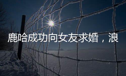 鹿哈成功向女友求婚，浪漫瞬間引爆全網(wǎng)熱議