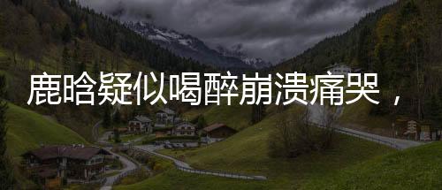 鹿晗疑似喝醉崩潰痛哭，深夜發(fā)文引人關(guān)注