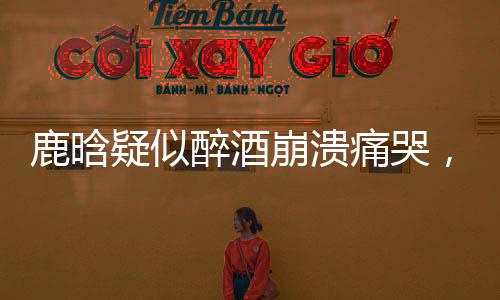 鹿晗疑似醉酒崩潰痛哭，引發(fā)網(wǎng)友熱議