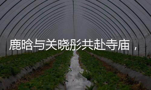 鹿晗與關(guān)曉彤共赴寺廟，探尋心靈凈土