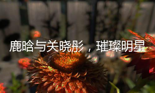 鹿晗與關(guān)曉彤，璀璨明星的浪漫碰撞——一二三四五六七八九十揭秘