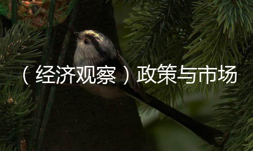 （經(jīng)濟(jì)觀察）政策與市場(chǎng)“雙向驅(qū)動(dòng)” 科技企業(yè)并購(gòu)重組“潮涌”