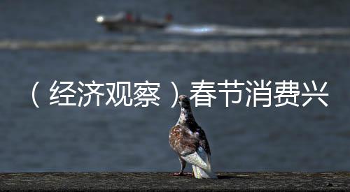 （經(jīng)濟(jì)觀察）春節(jié)消費(fèi)興起“文化熱” 文旅市場創(chuàng)意無限