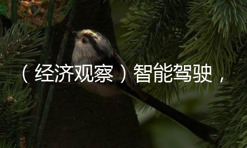 （經(jīng)濟(jì)觀察）智能駕駛，中國車企的“新賽場”